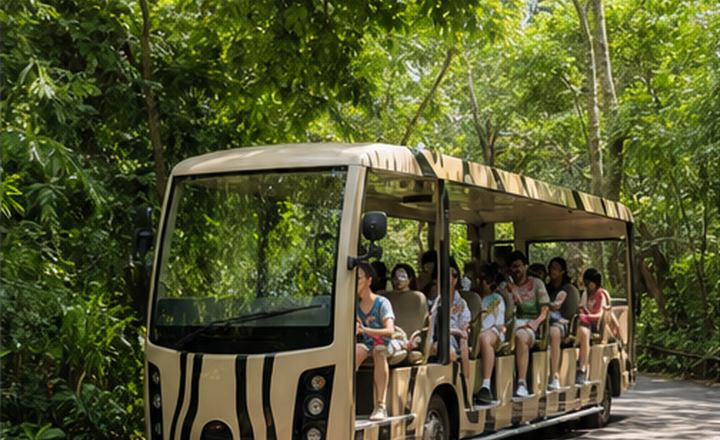 Perjalanan trem zoo